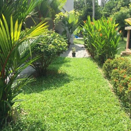 White Butterfly - A Countryside Homestay Thiruvananthapuram Εξωτερικό φωτογραφία
