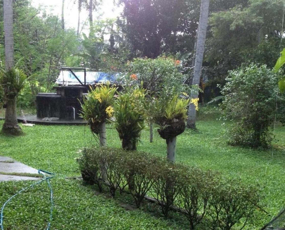 White Butterfly - A Countryside Homestay Thiruvananthapuram Εξωτερικό φωτογραφία